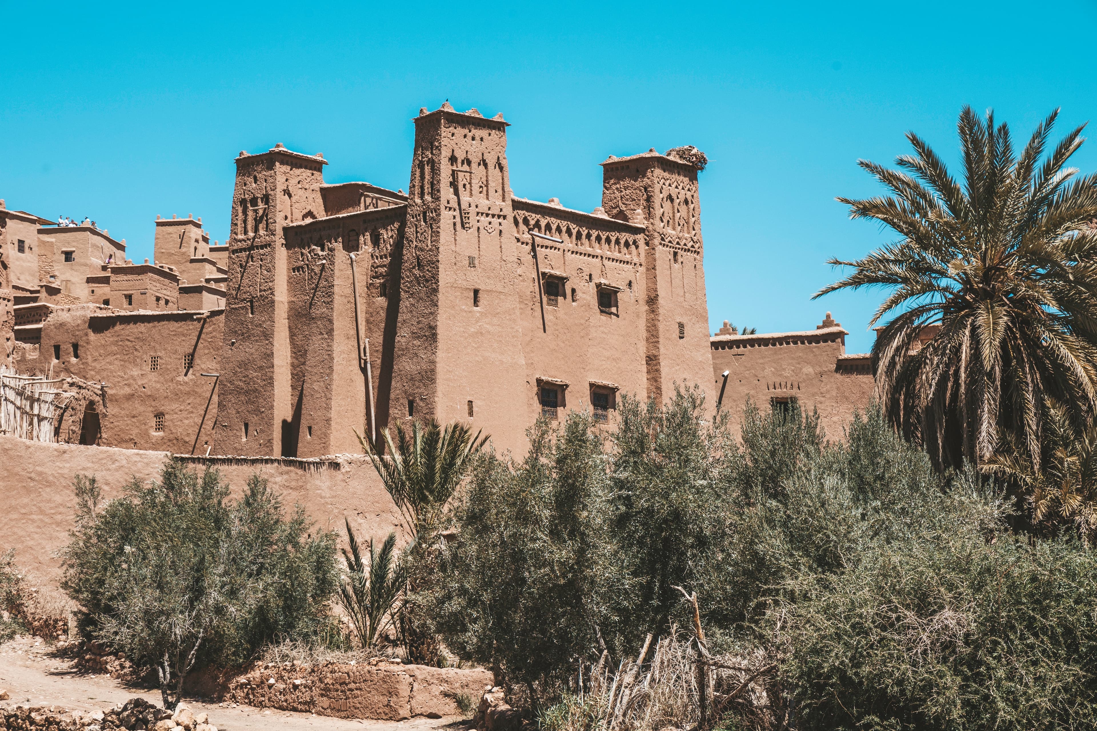 The towers of Kasbah Amridil among olive trees and palms in Skoura