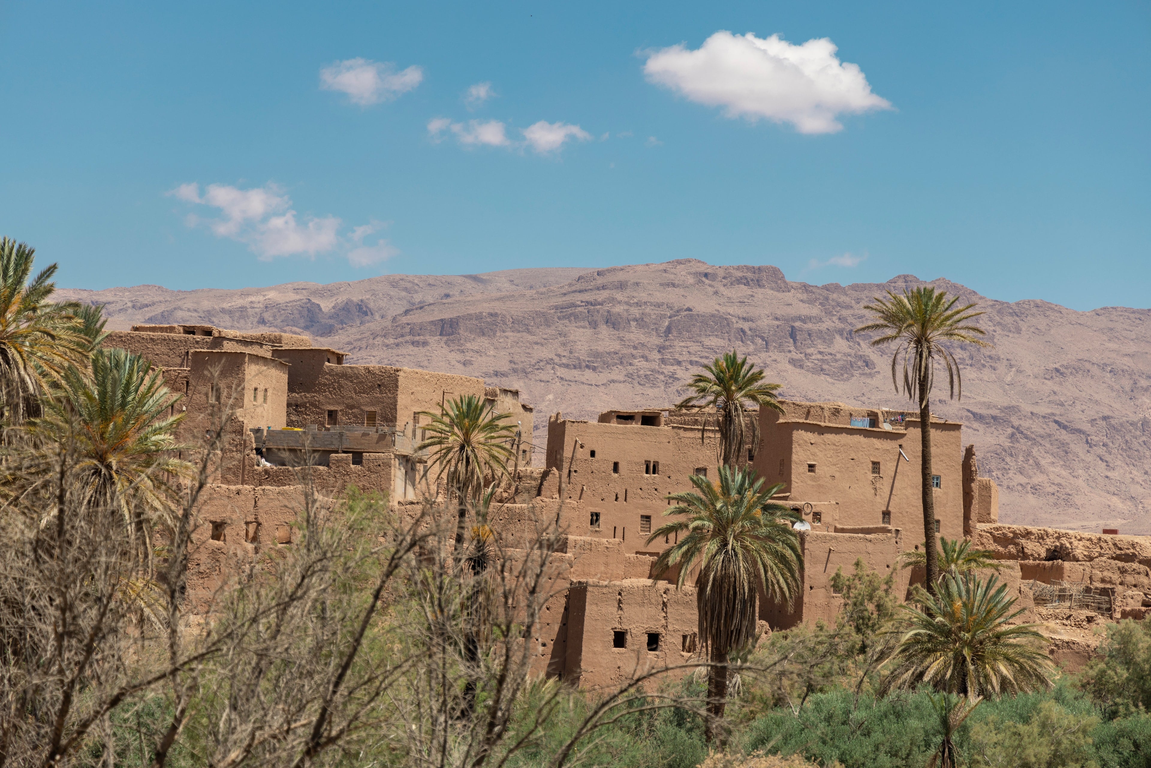 An old earthen kasbah among palms in the Draa Valley