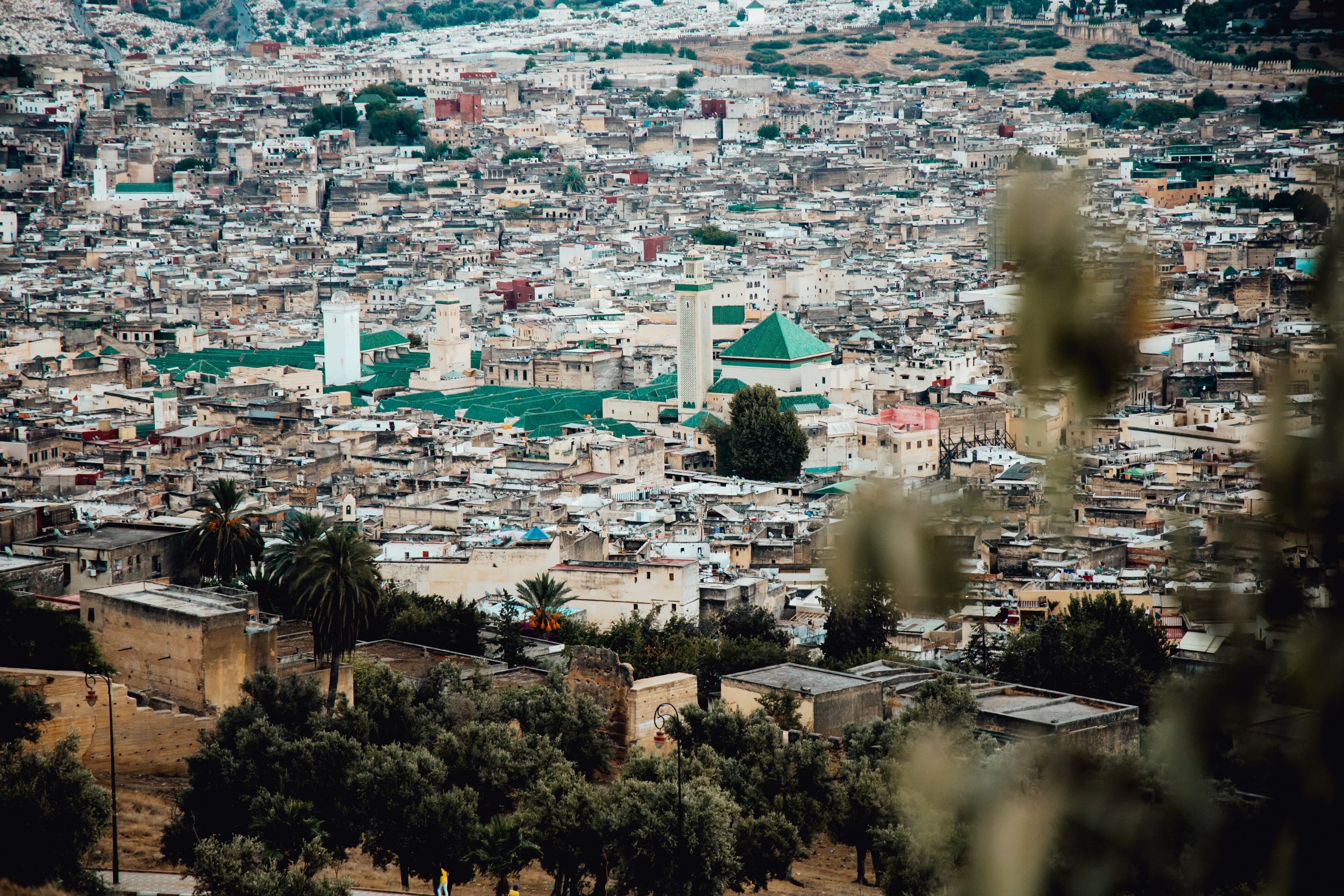 The medina of Fes spread across the valley, green roofs among the houses