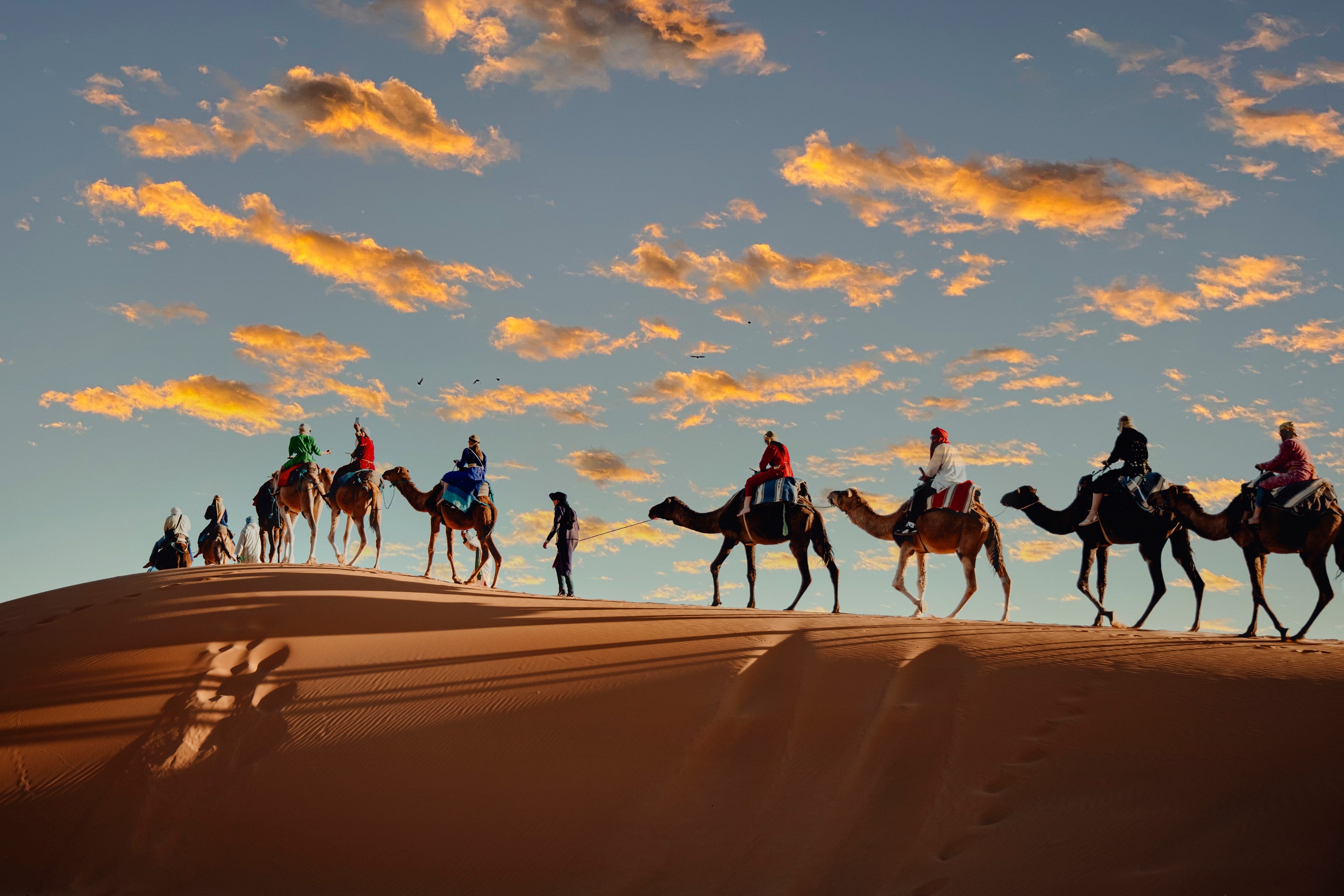 A camel caravan crossing the crest of a dune in Erg Chebbi at sunset