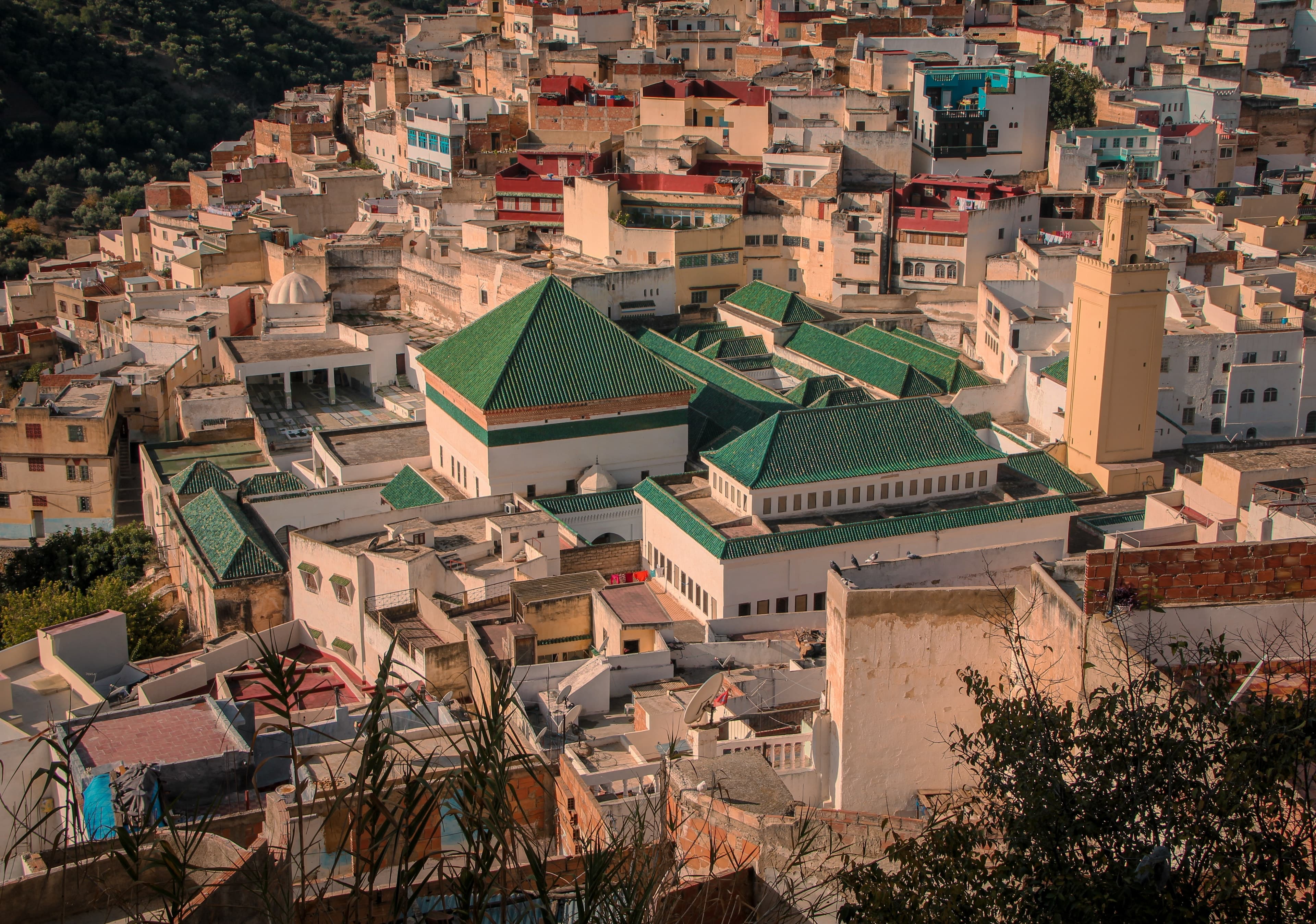 The white town of Moulay Idriss and its green-roofed shrine on the hillside